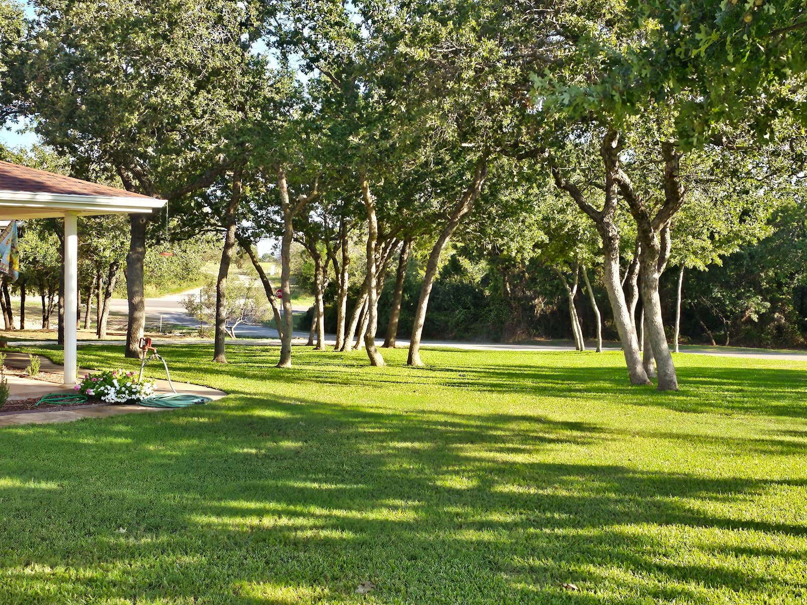 Chameleon Tree Service