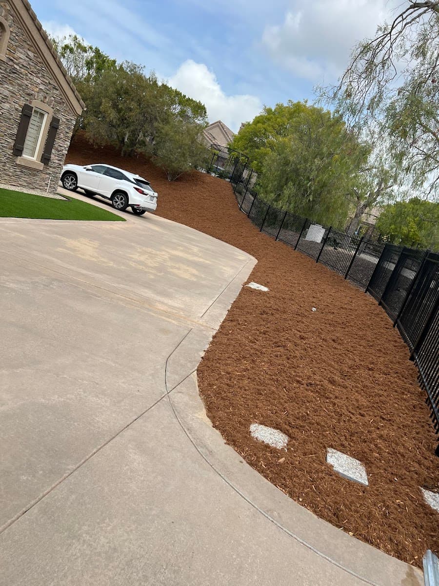 24 Seven Tree Service