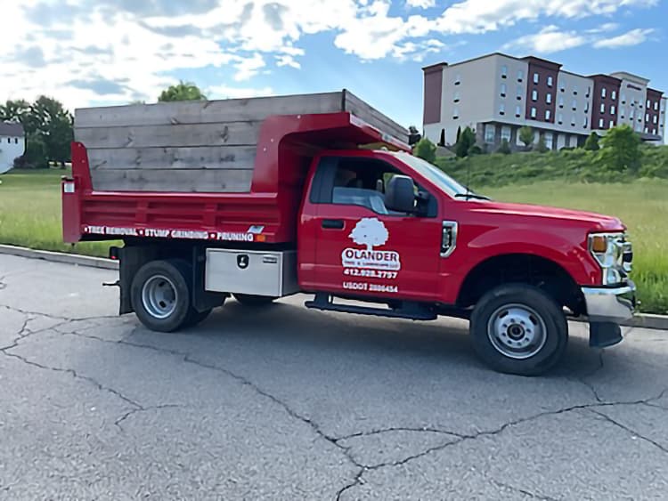 Olander Tree and Landscape LLC