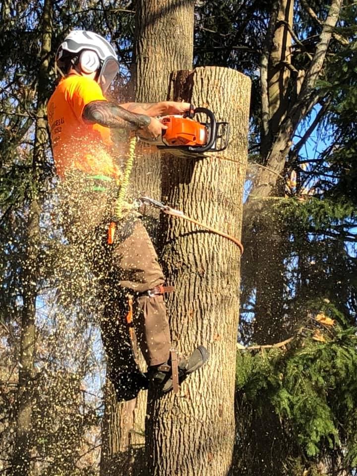 K&M Tree Services LLC