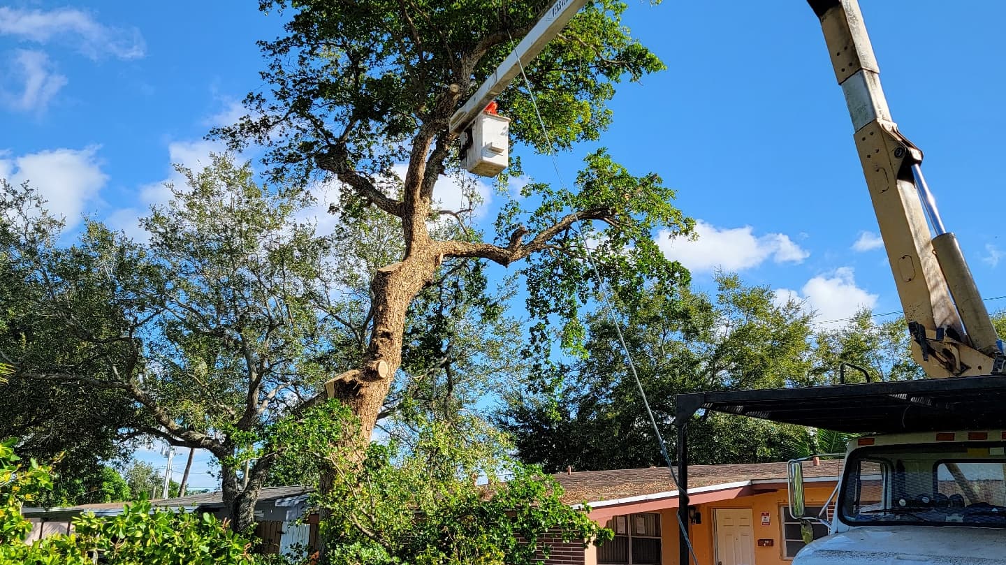 Jireh Tree Care LLC