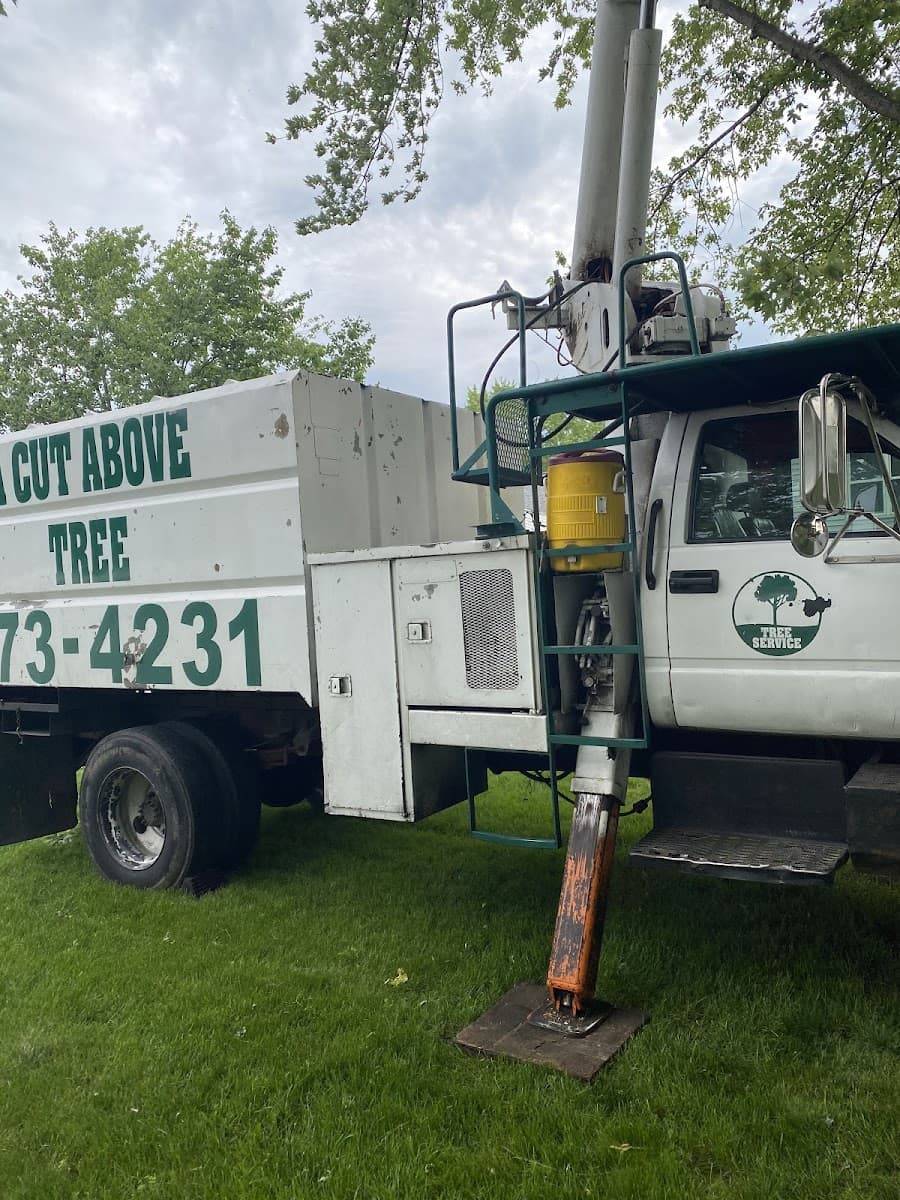 A Cut Above Tree Service