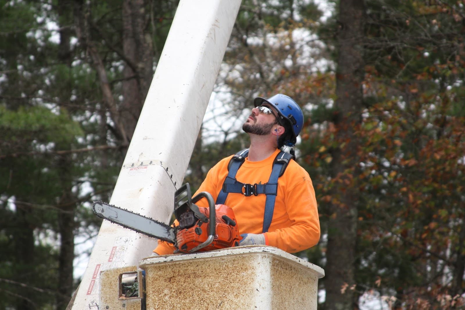 Foley's Tree Service, LLC