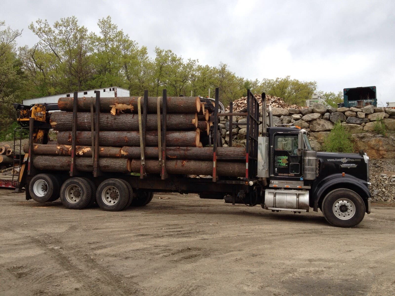 Accurate Tree Service