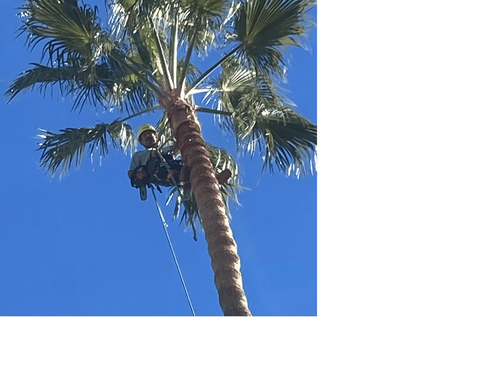 Canyon's Tree Service