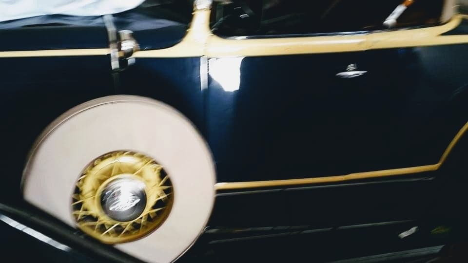 ANTHONYS TREE SERVICE