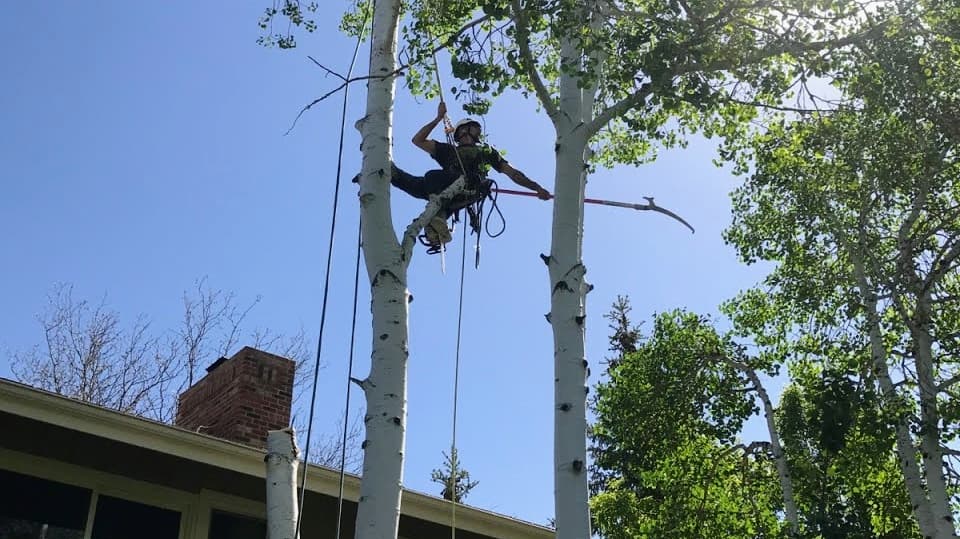 High Tie Tree Service