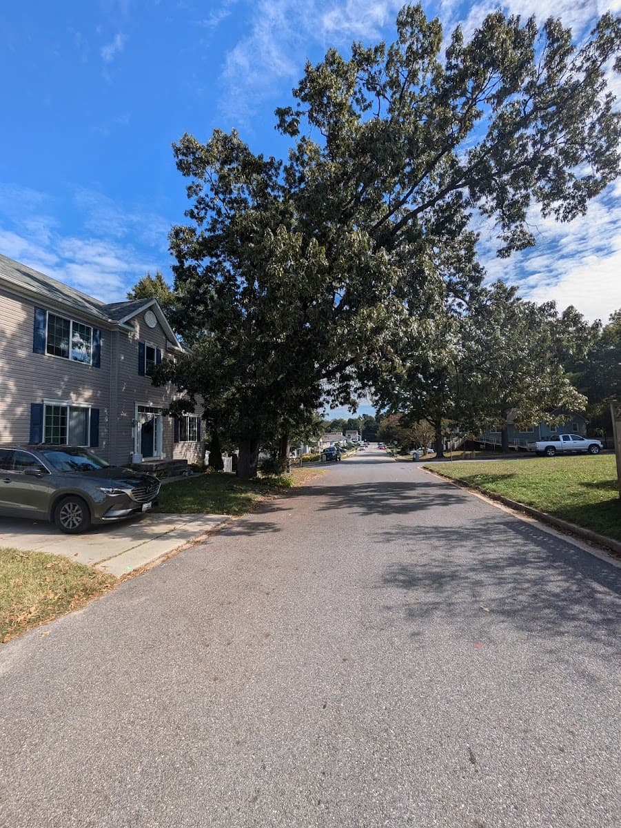 Universal Tree Expert.LLC