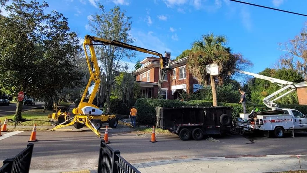 Black Creek Tree Co.