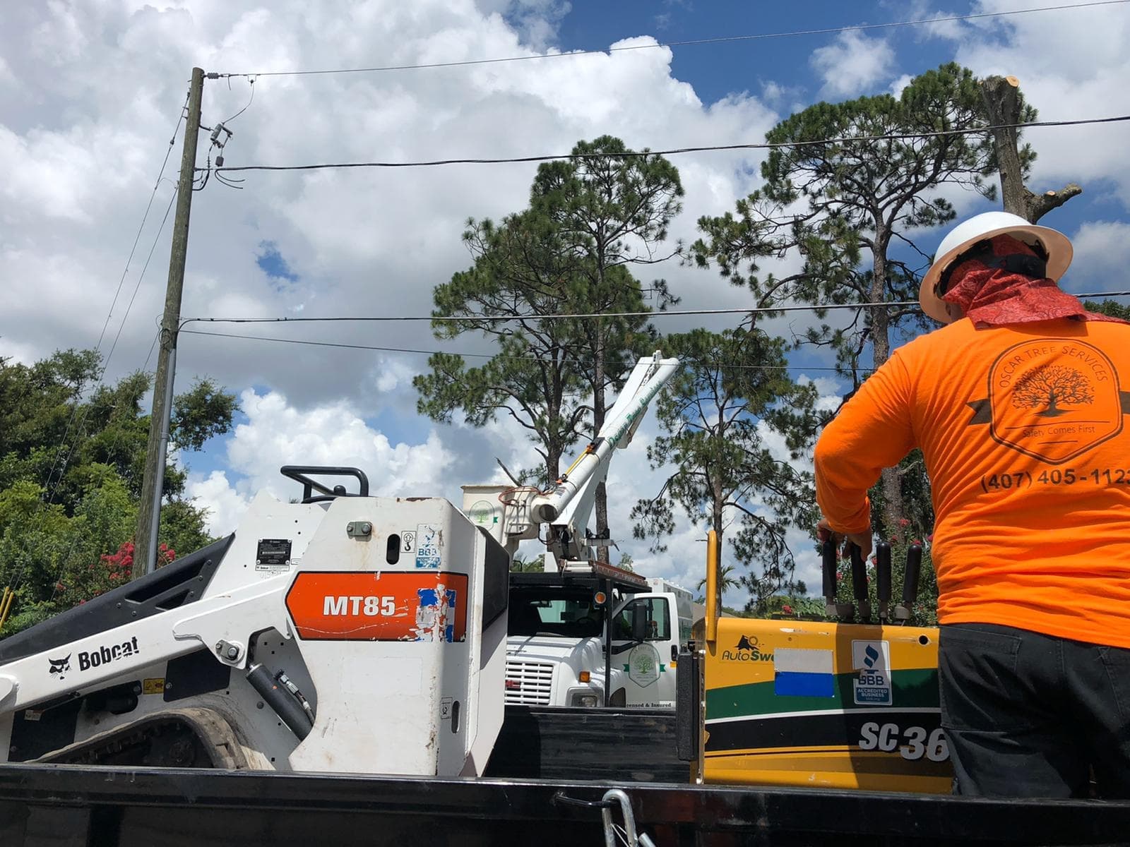 Oscar Tree Services LLC