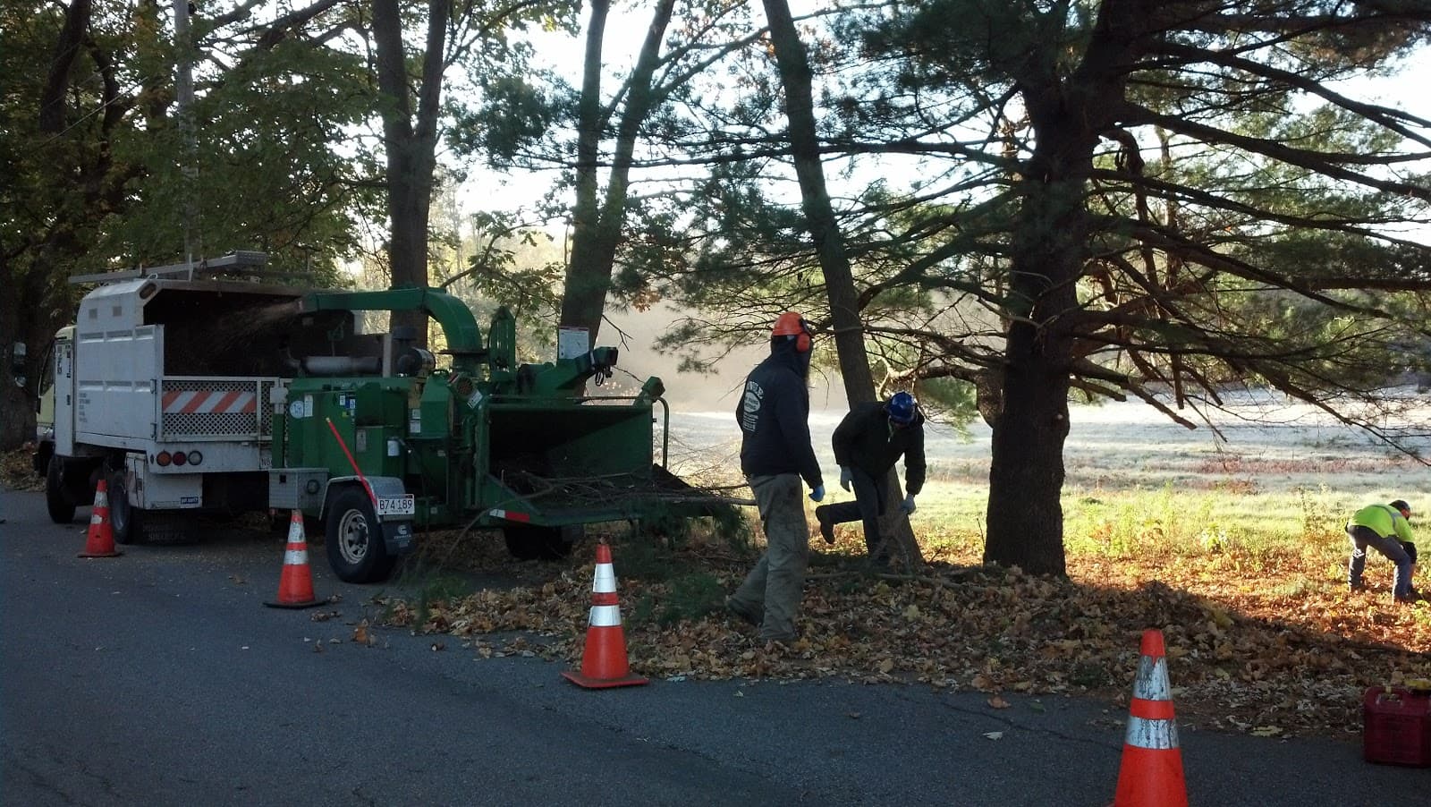 Emerald Tree Experts LLC