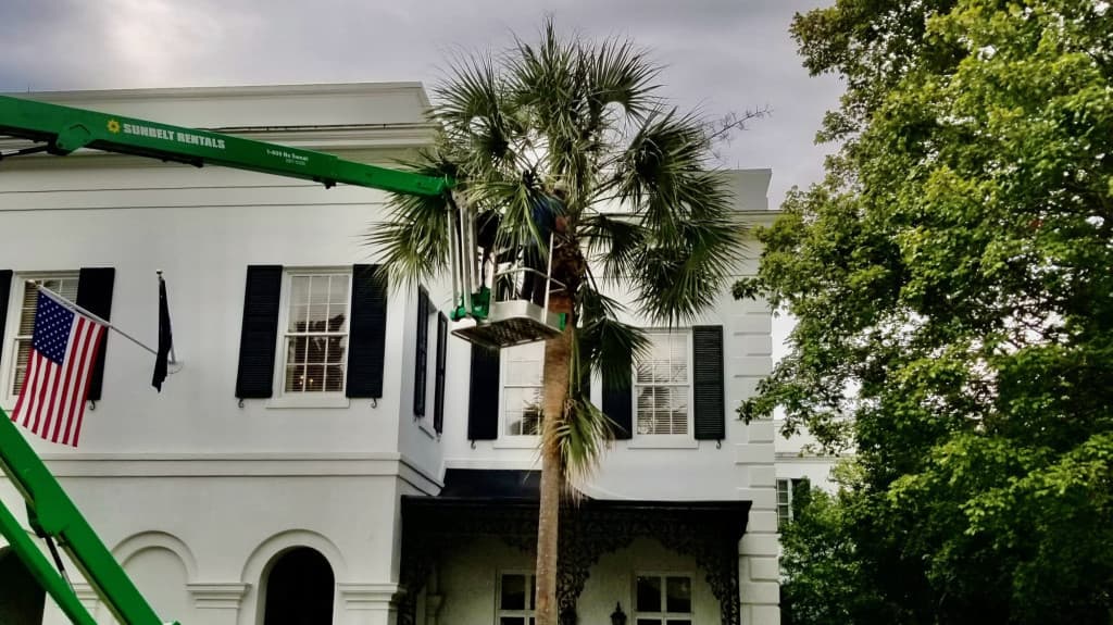 First Choice Tree Care