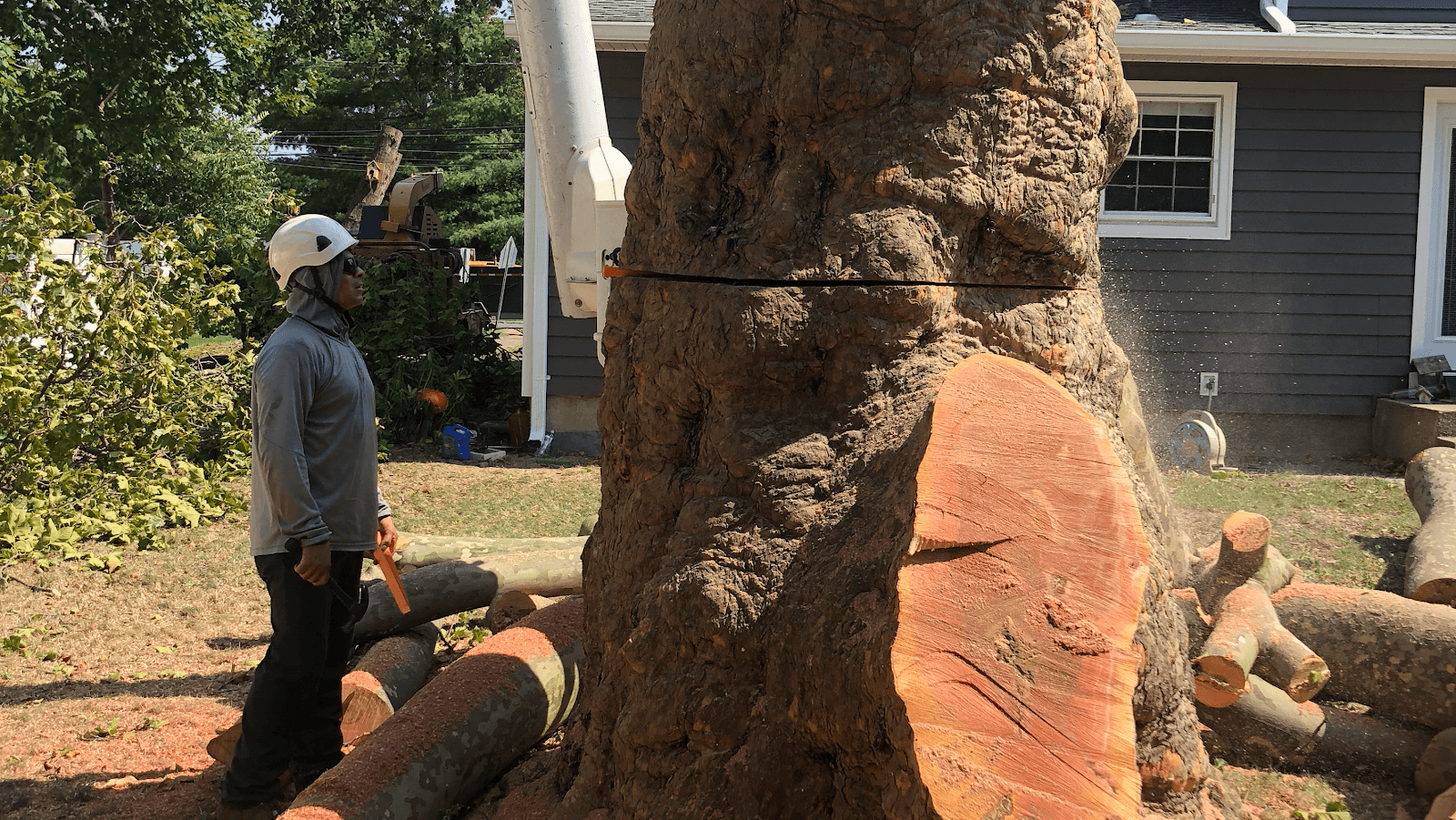 At The Top Tree Service Corp