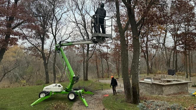 JB Tree Care & Landscaping