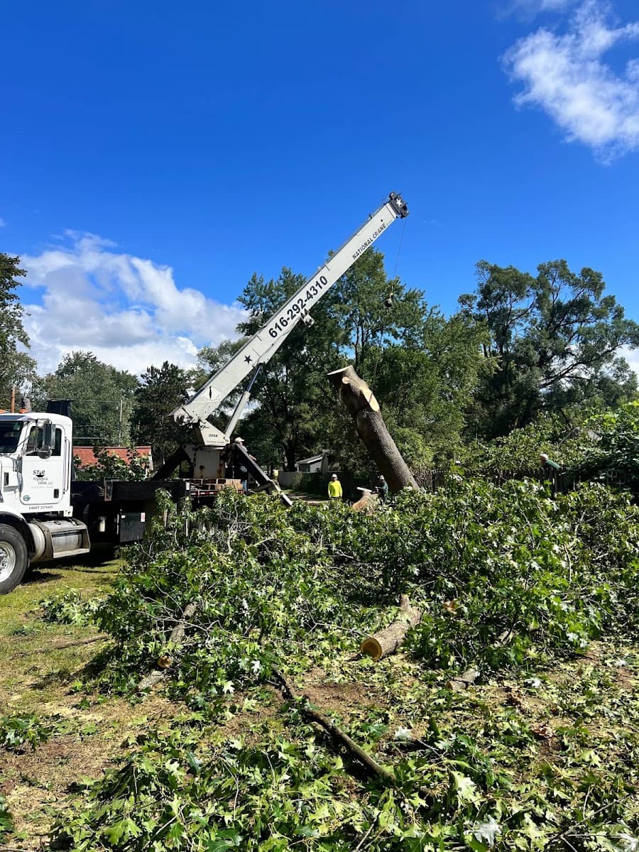 Lake Tree Service