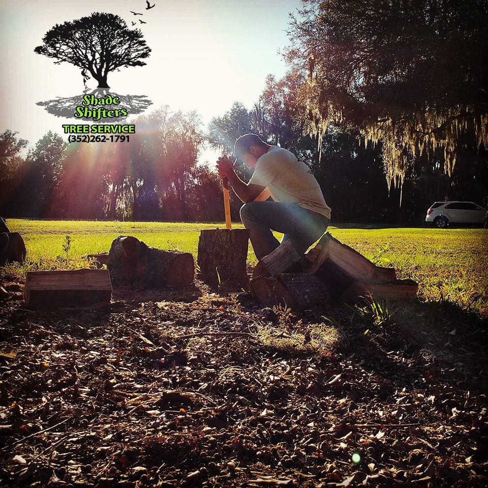 Shade Shifters Tree Service