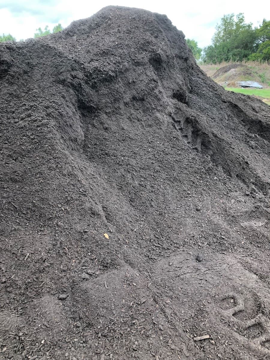 Stutzman Brothers Tree Service