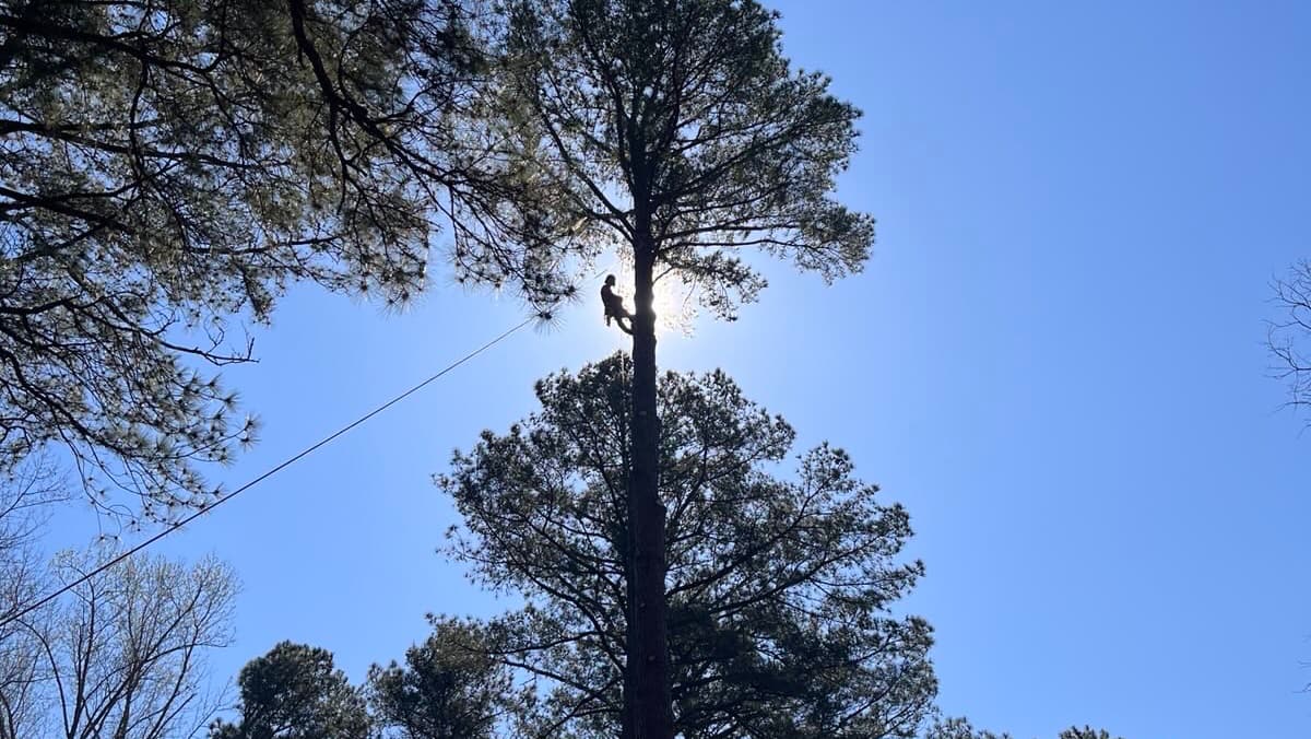 Barnes Brothers Tree Service, LLC (Fully Insured)