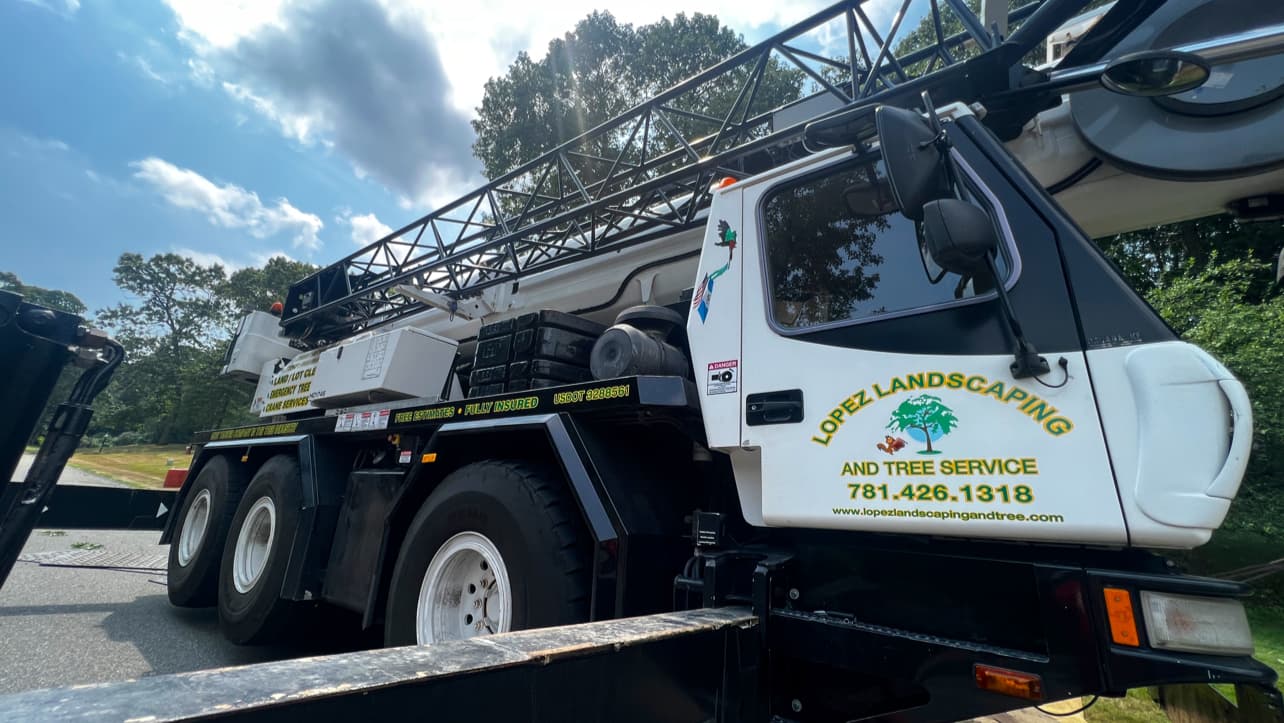 Lopez Landscaping & Tree Service LLC