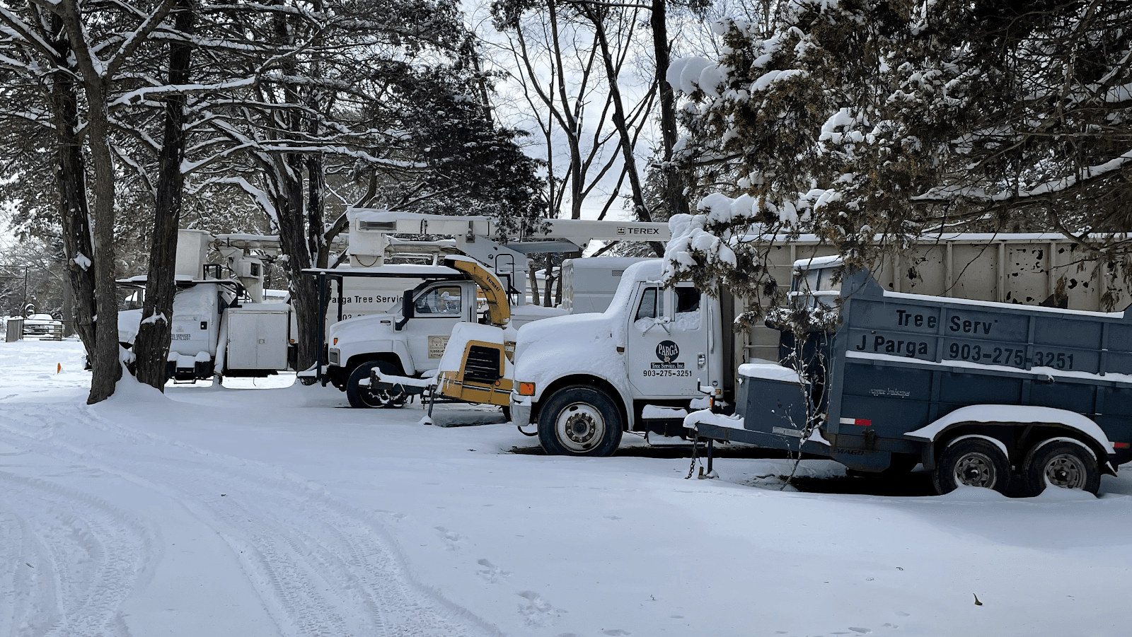 J Parga Tree service