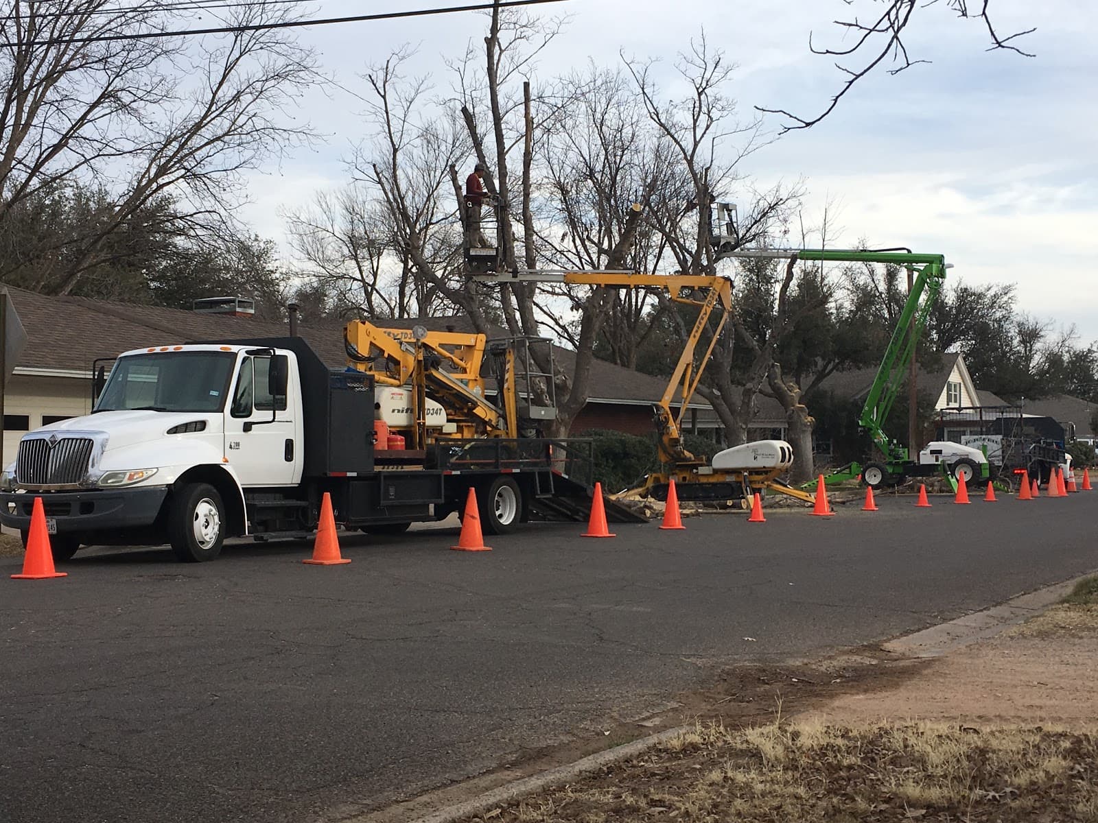 Jo Jo’s Bee Lawn & Tree Service