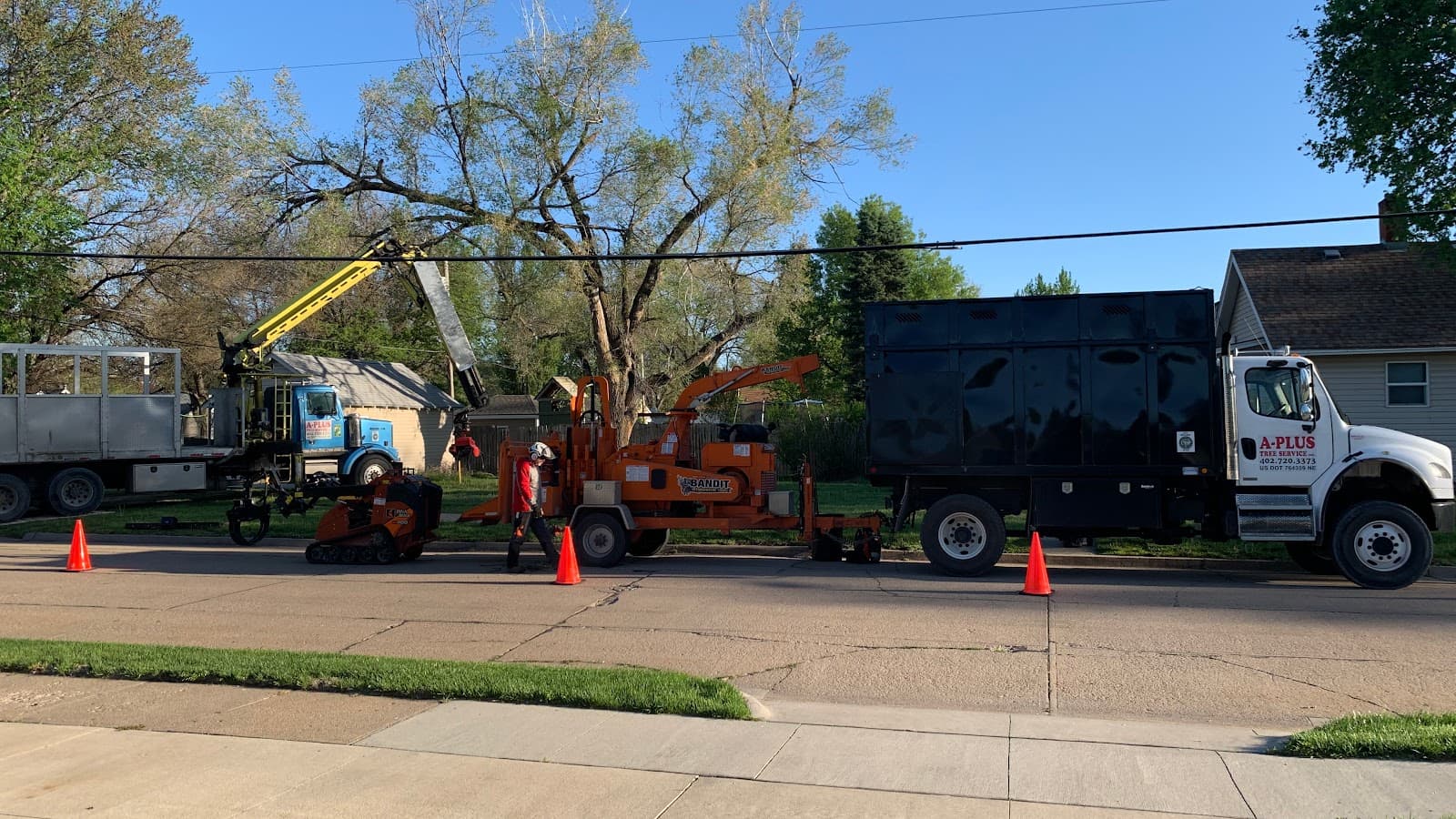 A-Plus Tree Service Inc