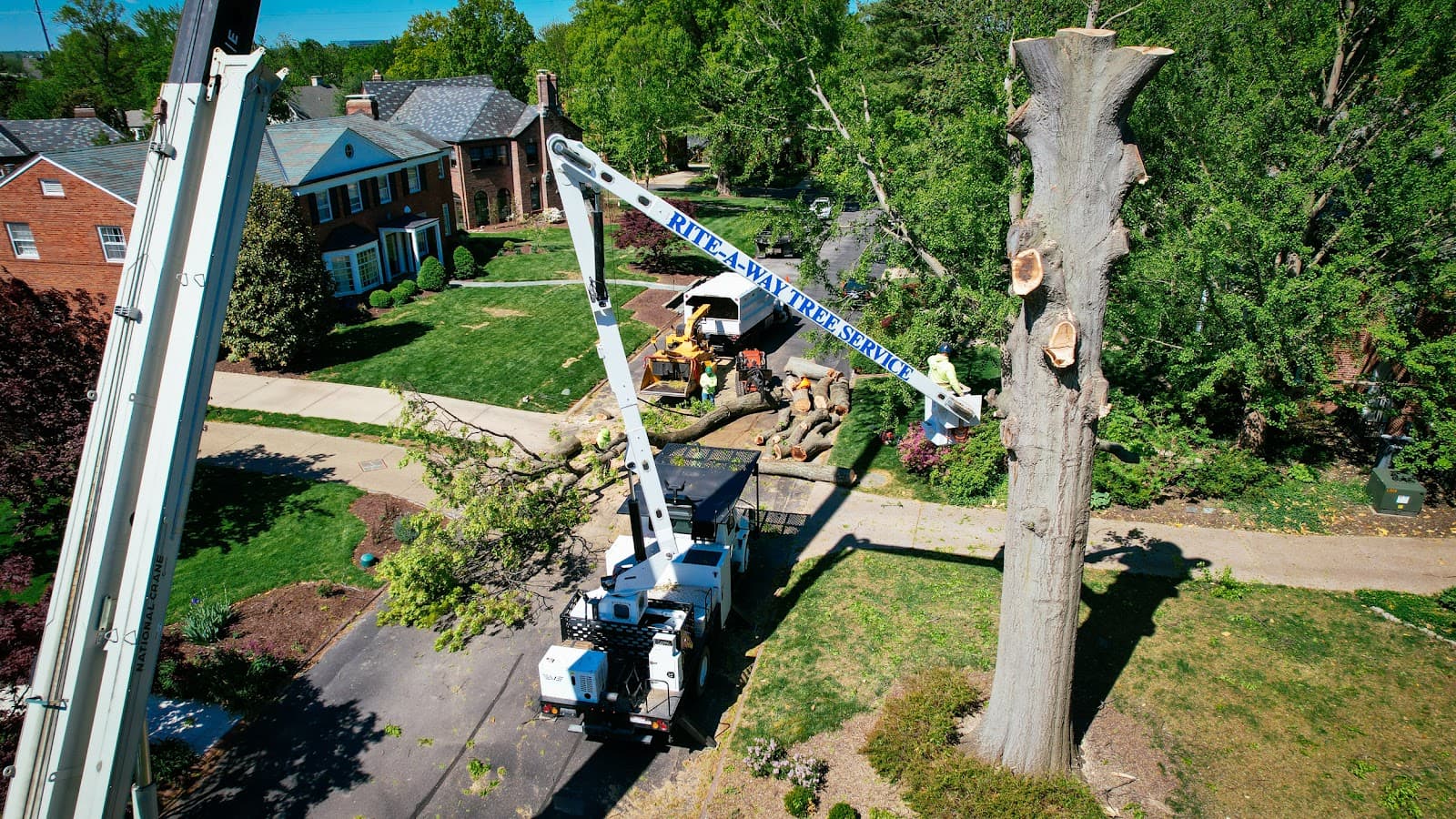 Rite-A-Way Tree Service