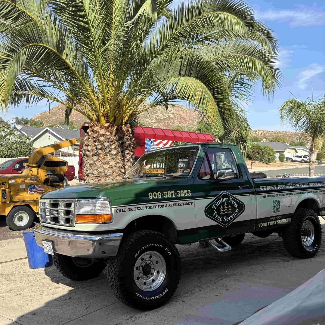 Timber Pros Tree Service