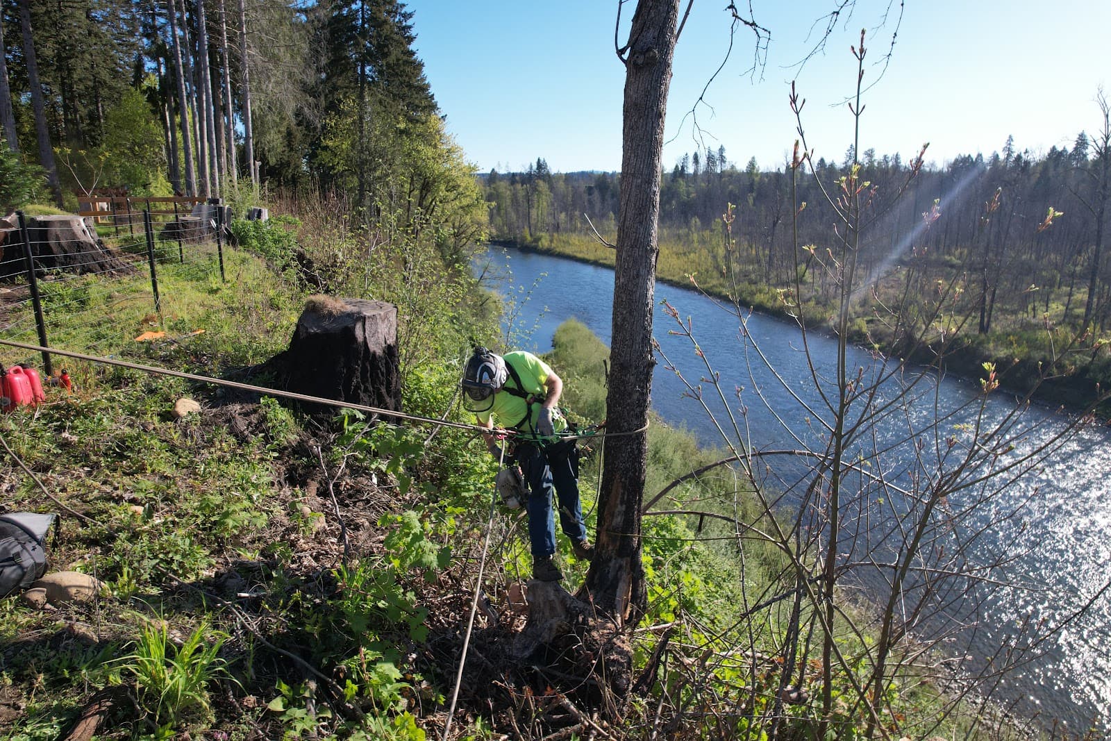 Portland Tree Service