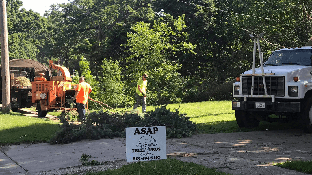 ASAP Tree Pros, Inc.