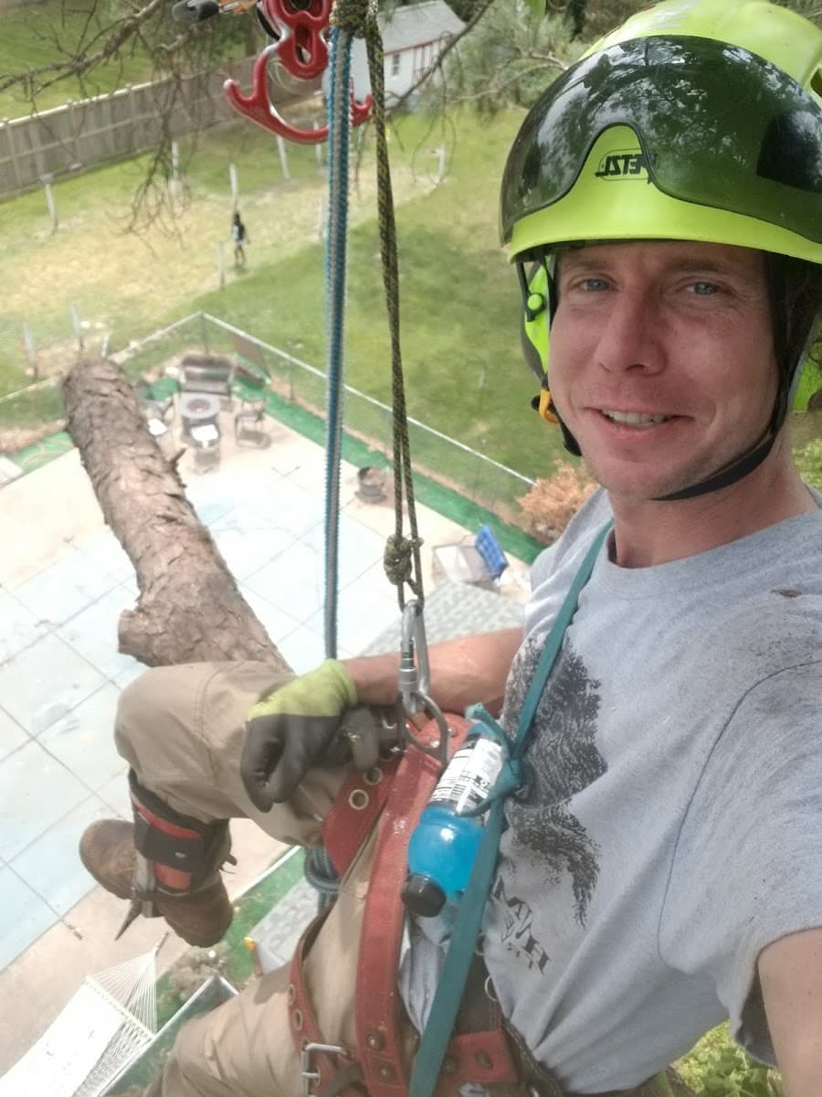 Humanitree Tree Service