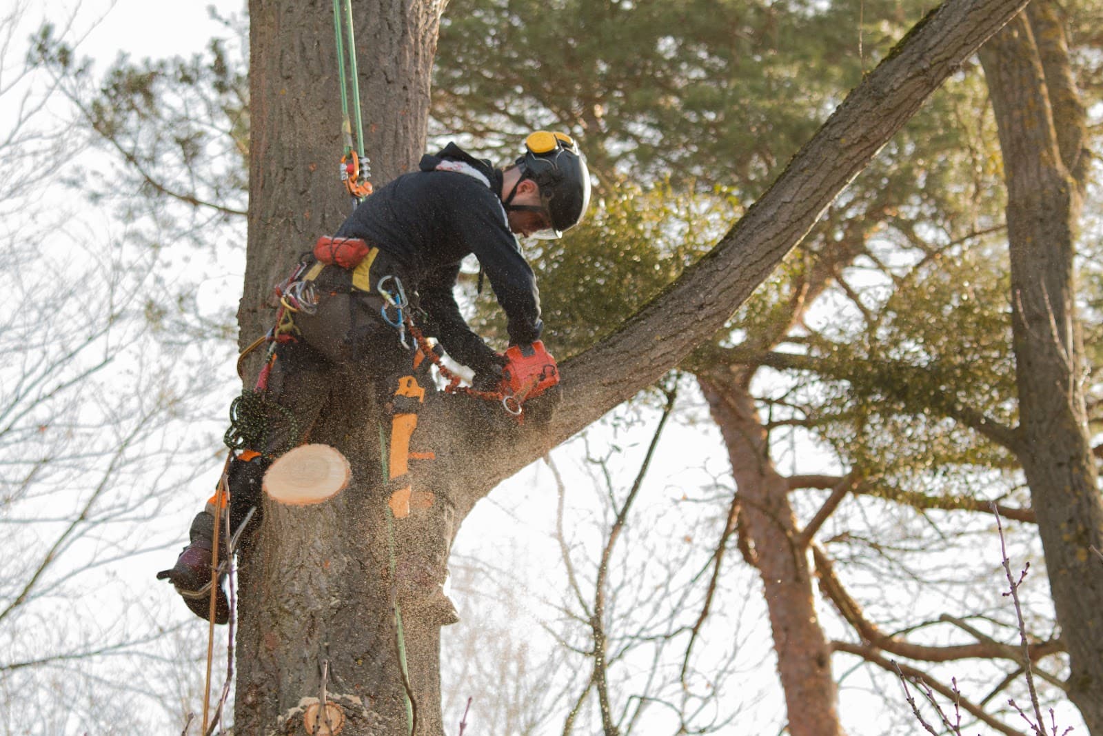 Owens Tree Service - Arborist