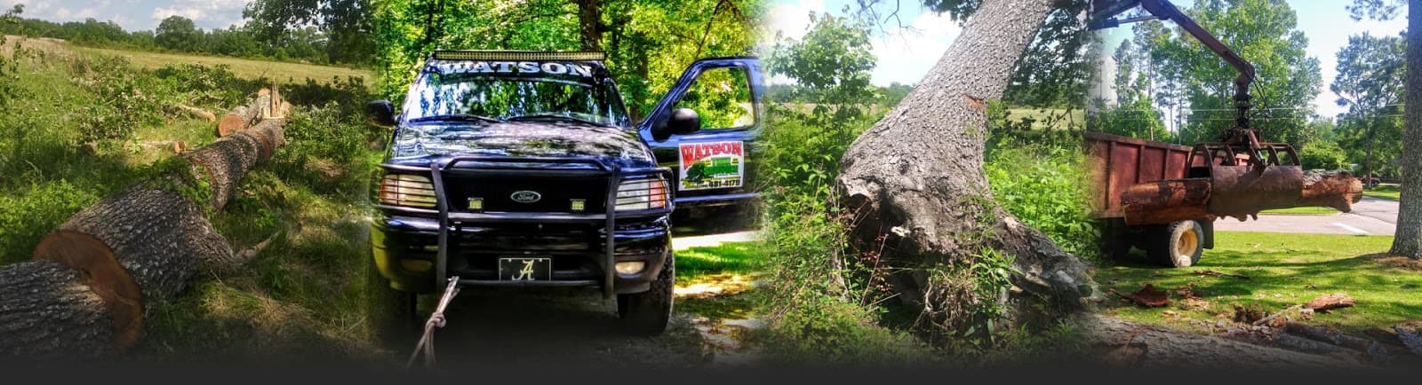 A-1 Watson Tree Service