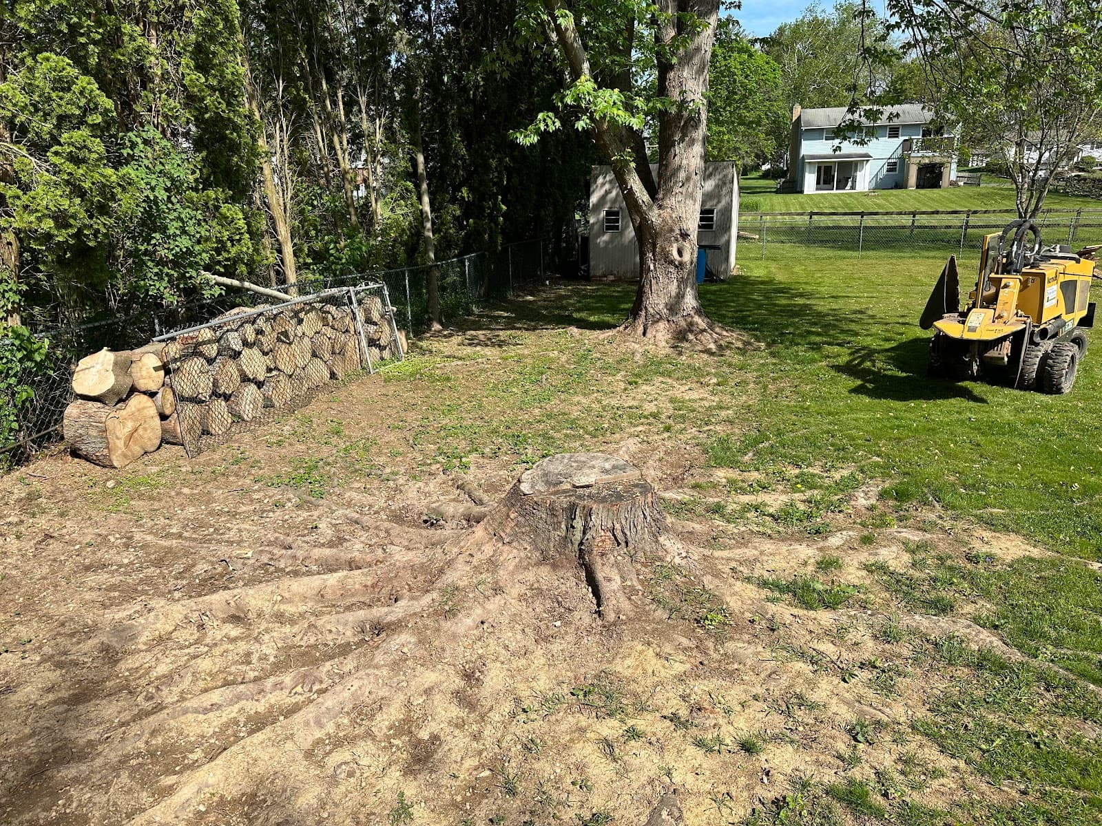 Professional Stump Removal
