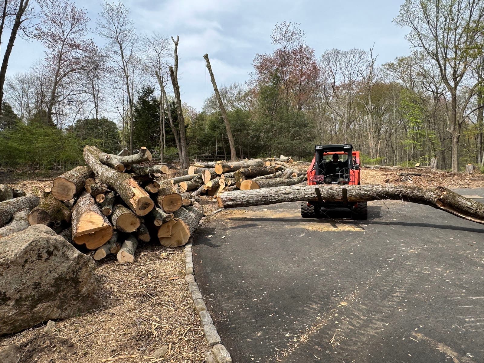 ARBORPRO TREE EXPERTS LLC