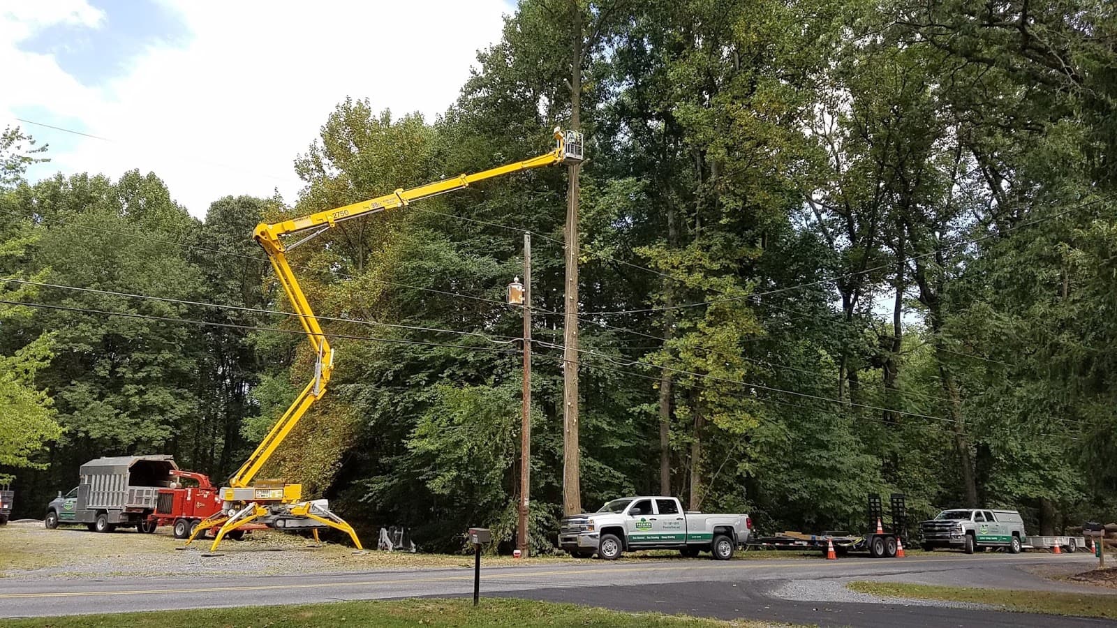 Premier Tree Service Inc.