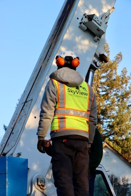 SkyView Tree Experts, INC.