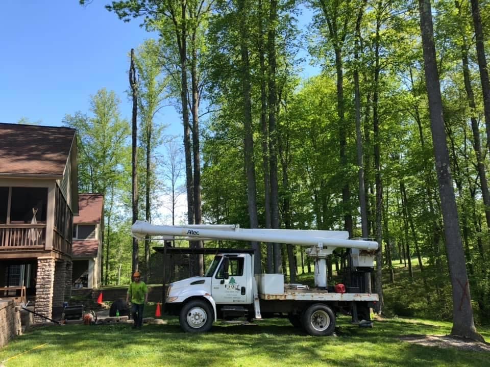 Frey Tree Specialist