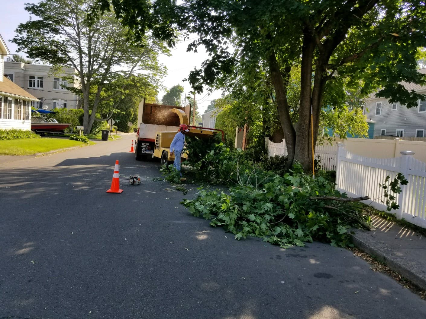 The Magnolia Tree Services LLC