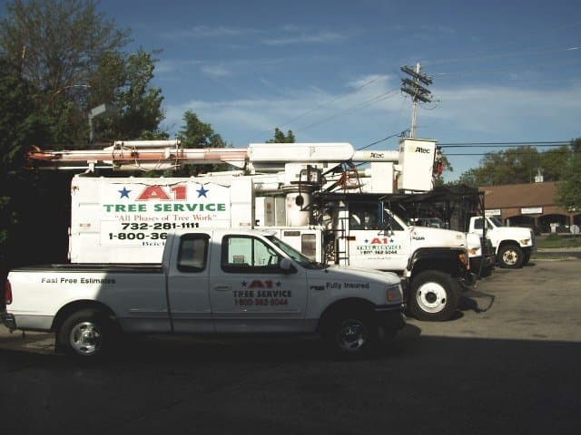 A1 Tree Services