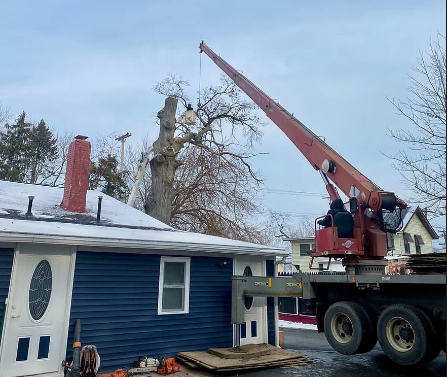 Rangel Brothers Tree Service