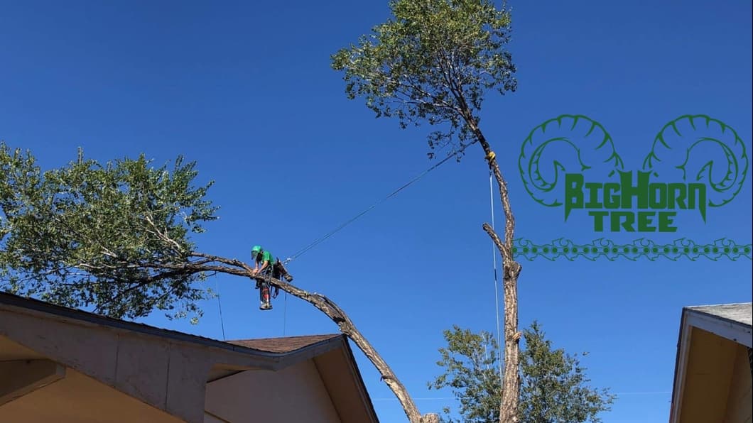 Big Horn Tree Service