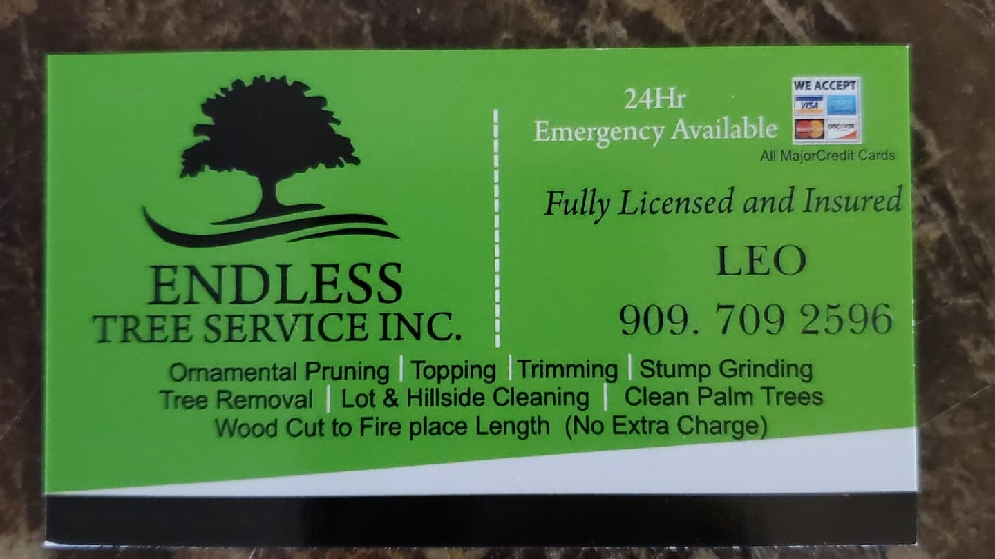 Endless Tree Service