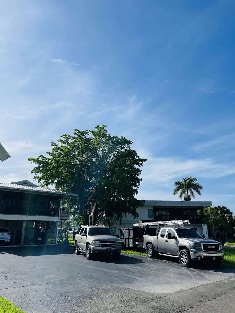 LA Tree Trimming & Removal Inc.