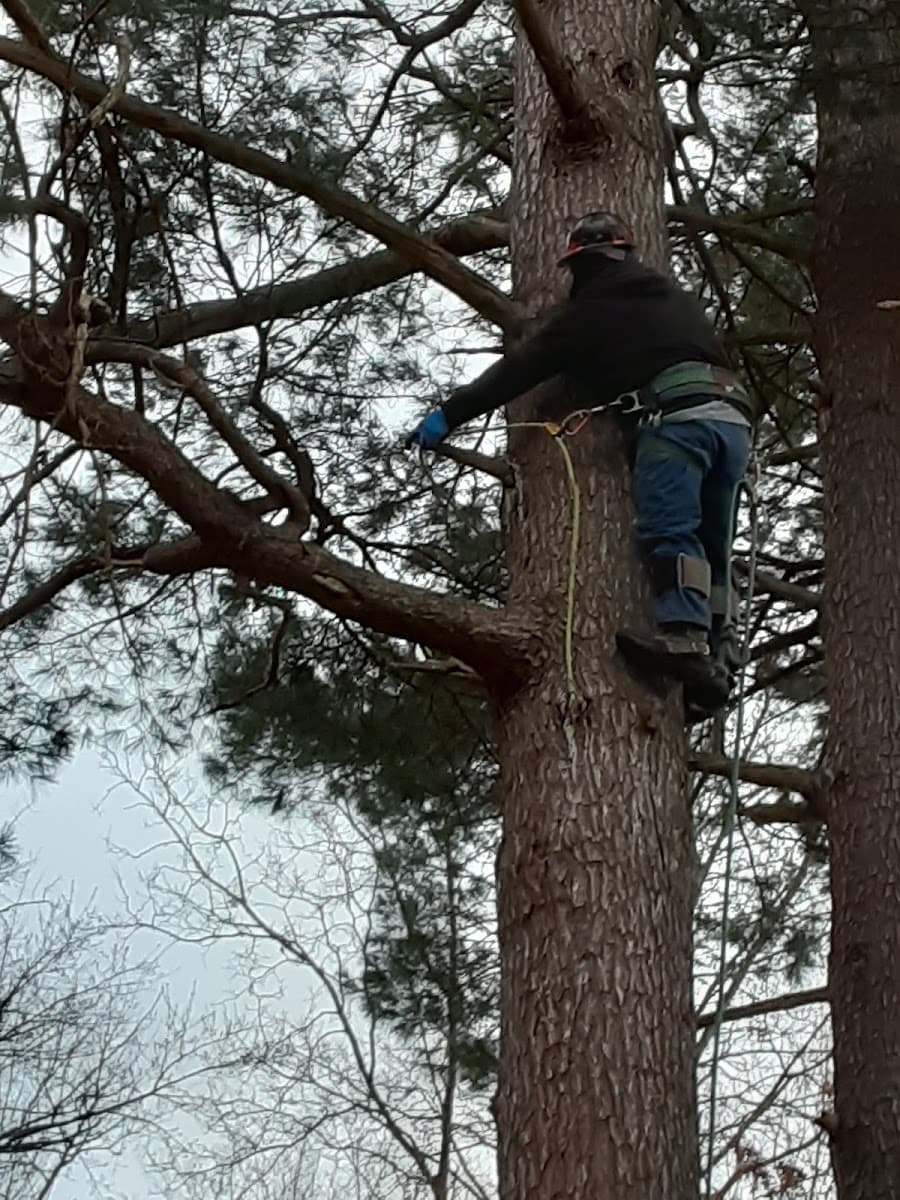 Sevenzocks Property Maintenance and Landscaping Inc