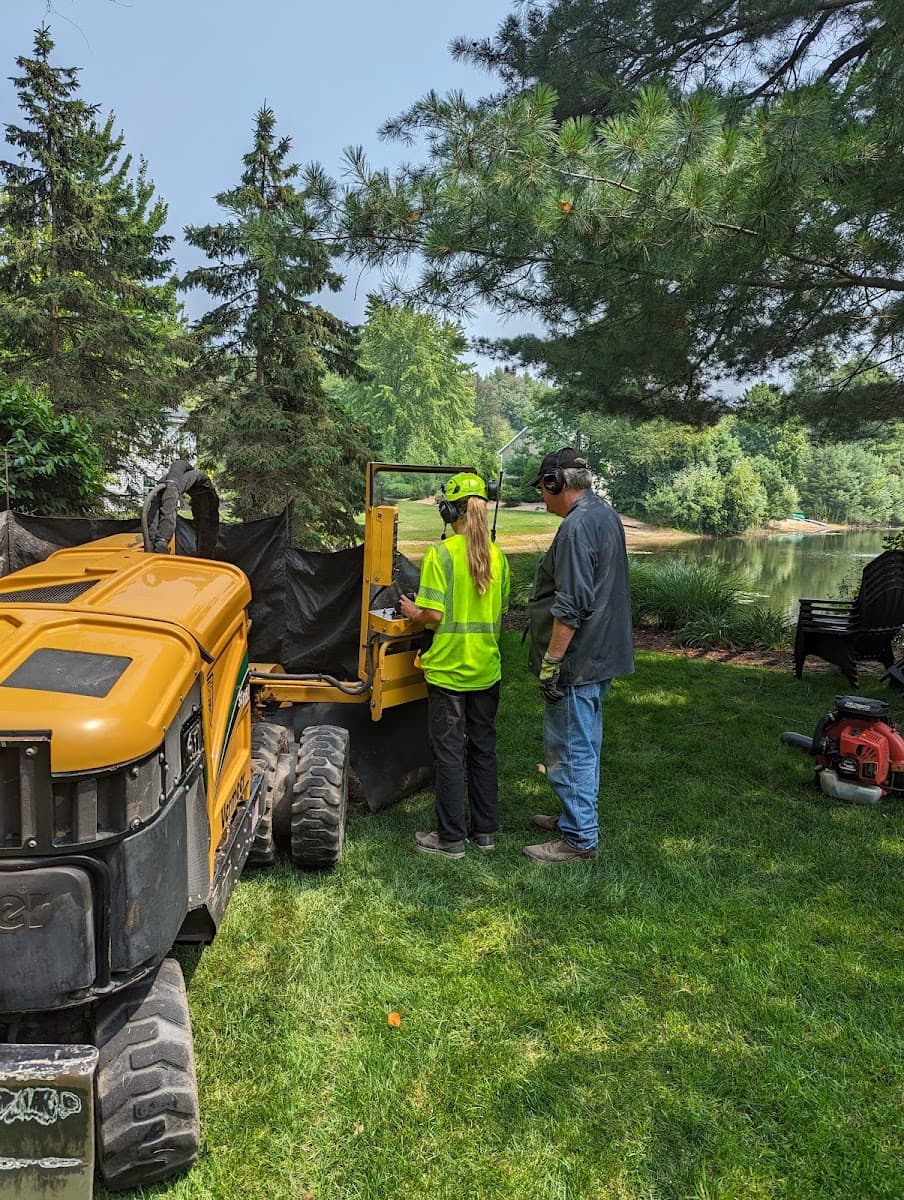 Old Growth Tree Services