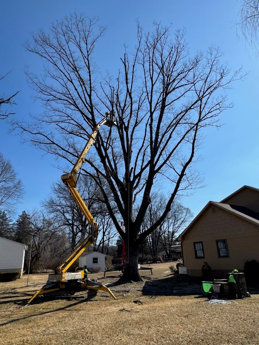 Brandywine Tree & Shrub