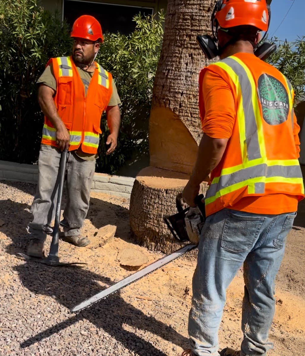 Mayscape Tree Trimmers