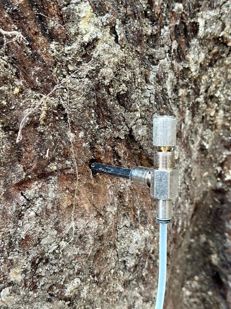 Tree Service & Consulting LLC