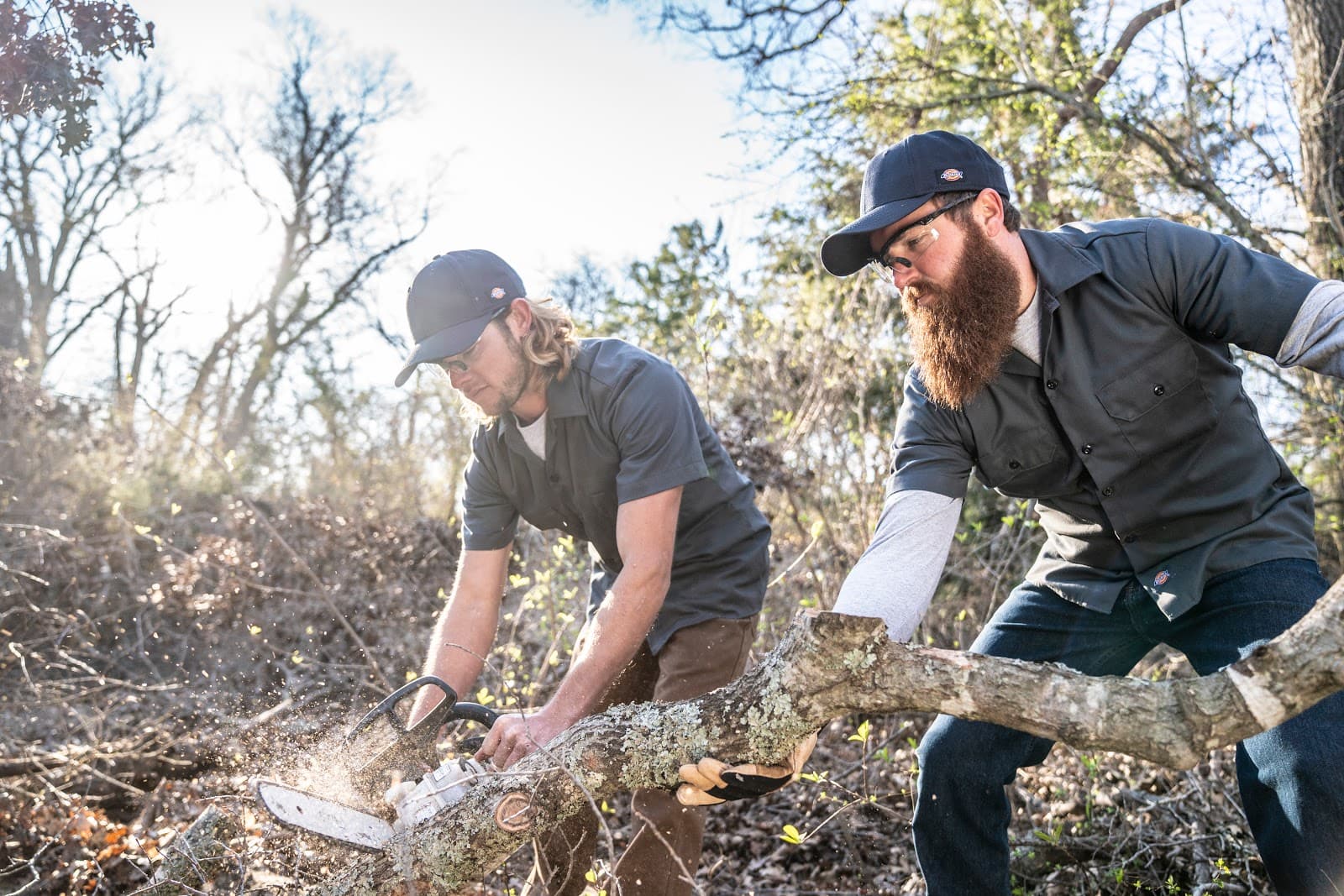 Blue Ox Urban Forestry